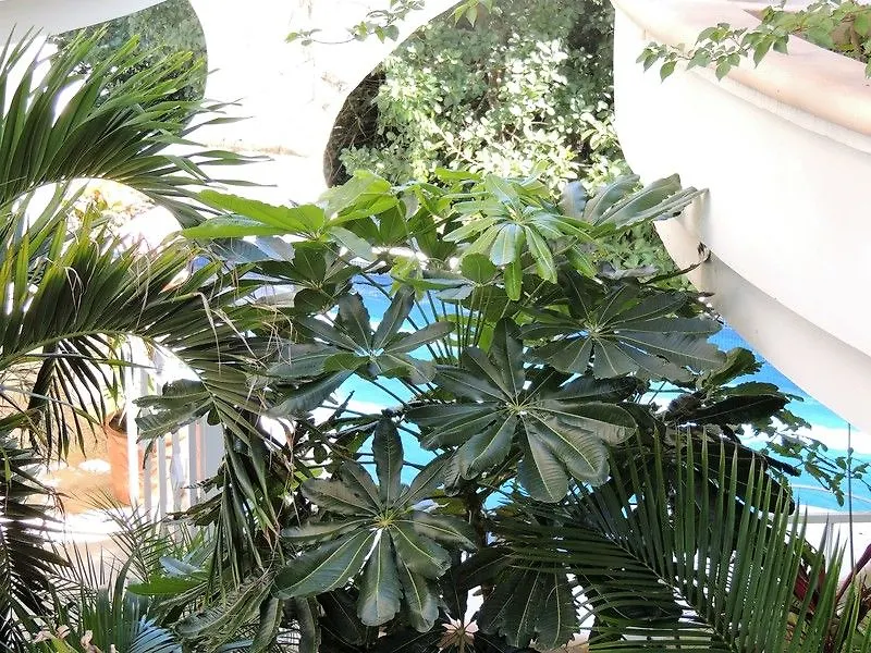 Casaejido Hotel Playa del Carmen